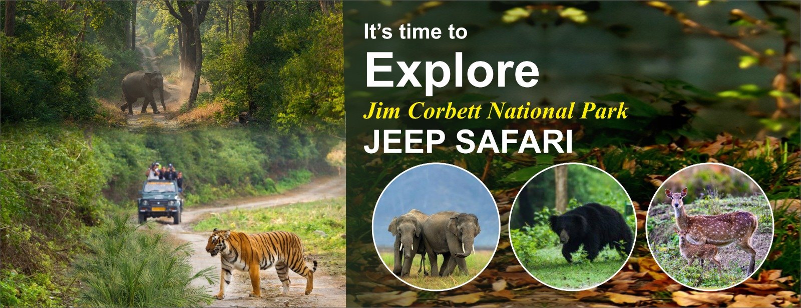 Corbett Wild Holidays