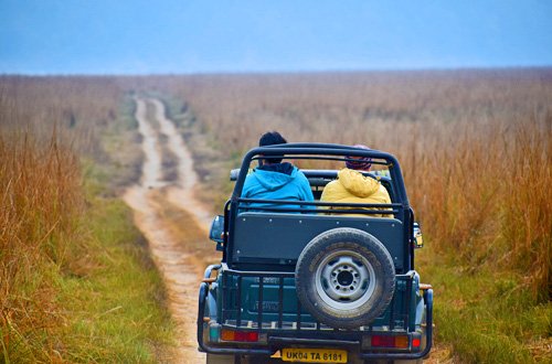 jeep-safari