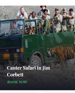 Canter Safari in Jim Corbett