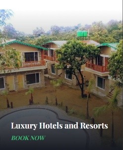 Luxury Hotels and Resorts