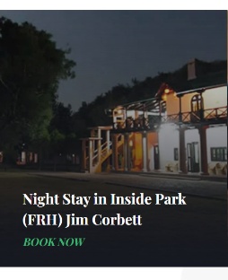 Night Stay in Inside Park (FRH) Jim Corbett